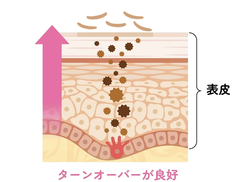 シミの再発を防ぐ