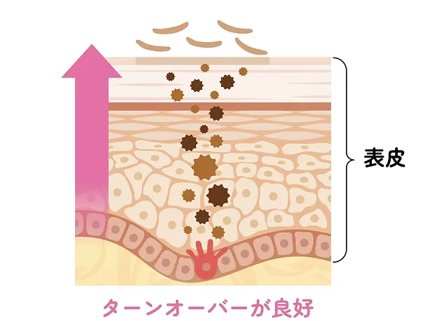シミの再発を防ぐ