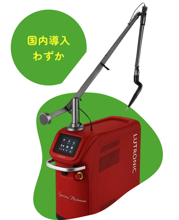 国内導入わずか